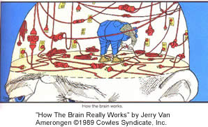How the Brain Really Works